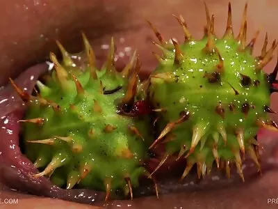 Lớn Chiến lợi phẩm gỗ mun với xỏ tits thổi dài trắng phim set nhat moi công cụ