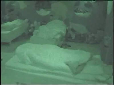 Hình xăm tóc vàng milf được đập qua trẻ khuy sex moi nhat ban áo trong các vòi hoa sen